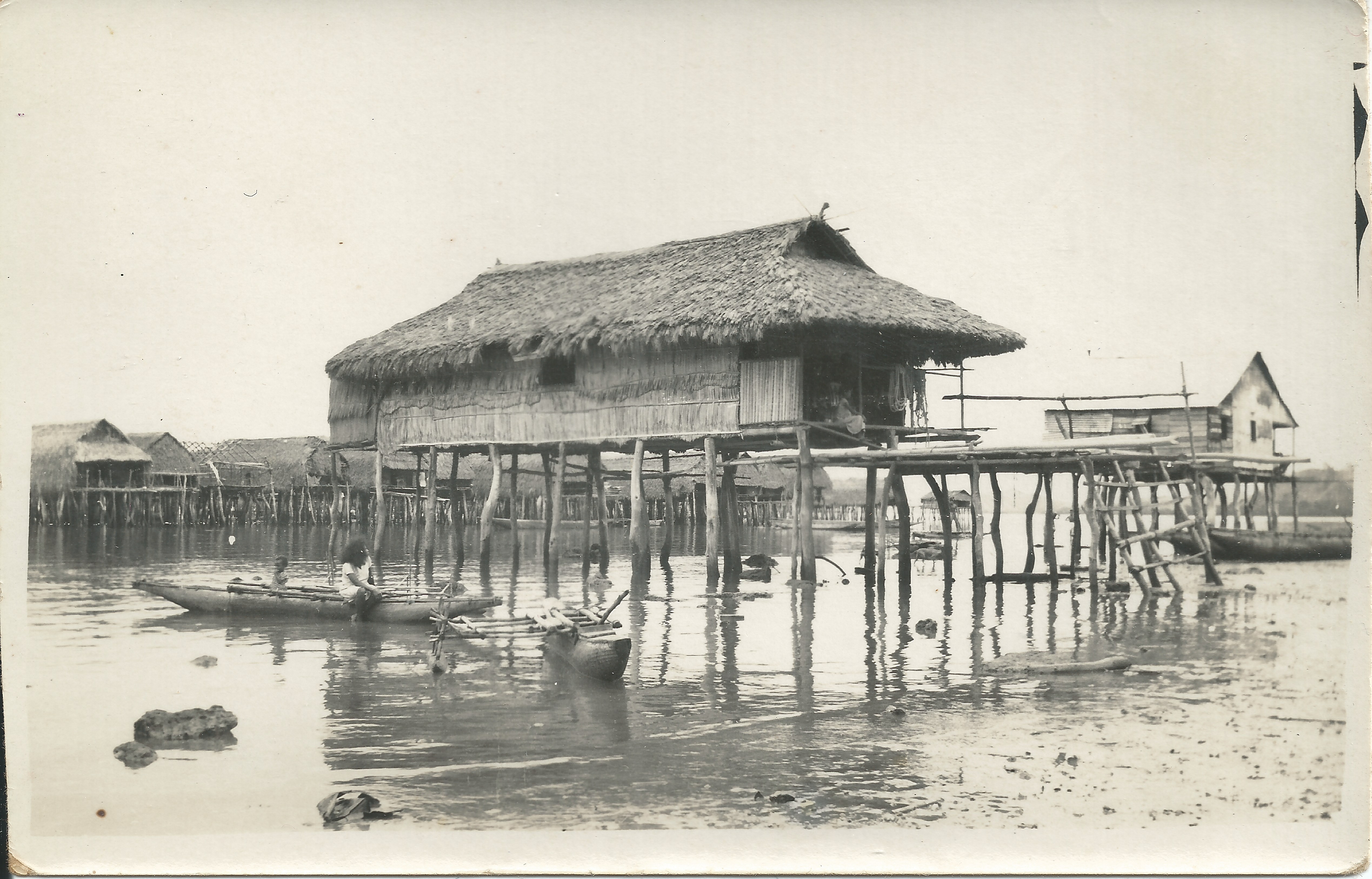Coastal village huts